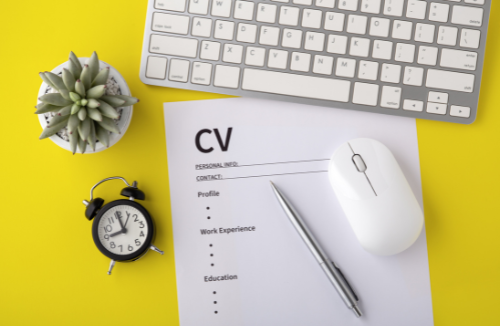 How to Write a Perfect CV in 2025